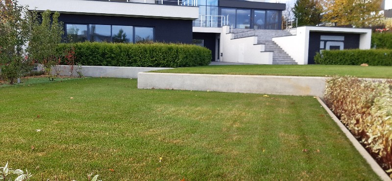 средний участок современный сад живая изгородь из туи газон подпорная стенка из бетона пестово